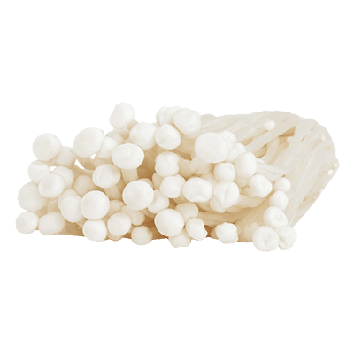 Enoki