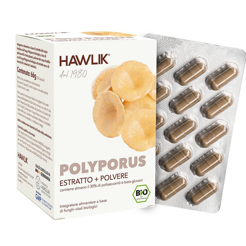 Polyporus E+P 120