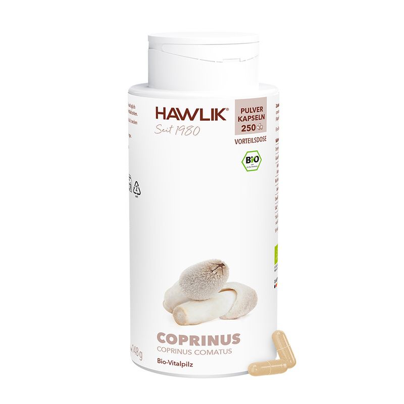 Coprinus 1