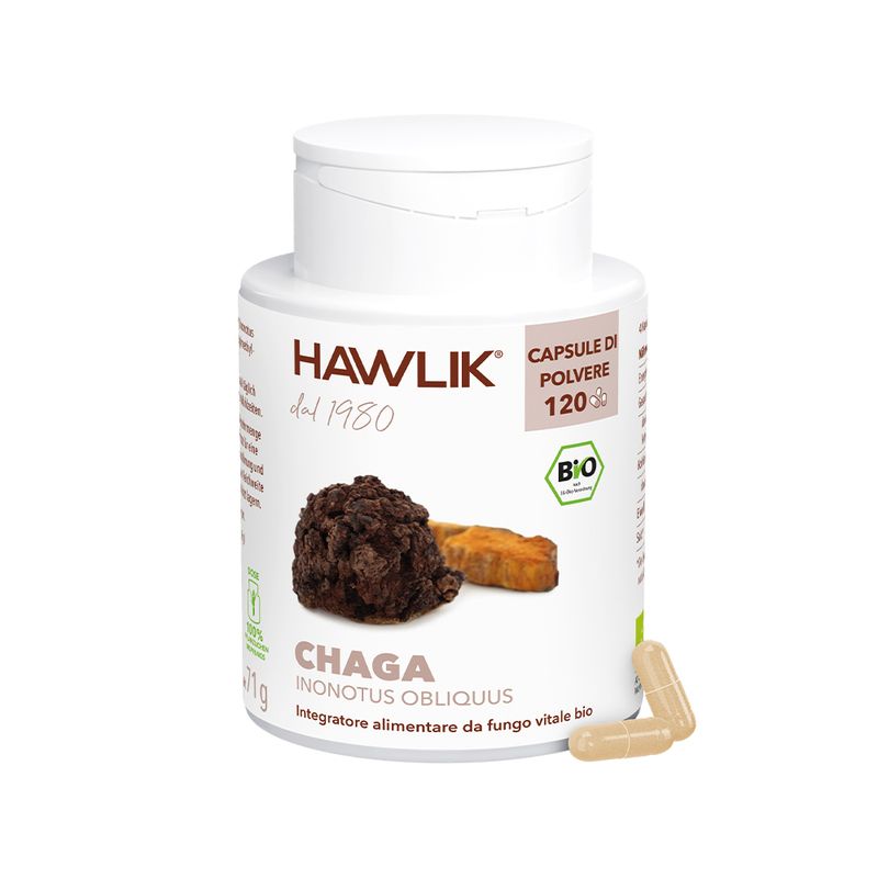 Chaga