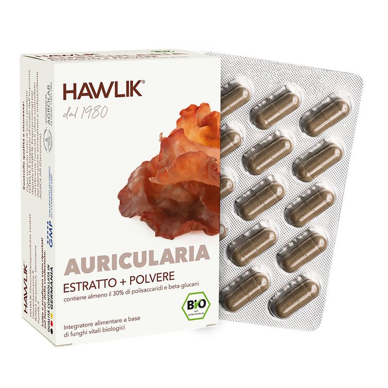 Auricularia E+P 60