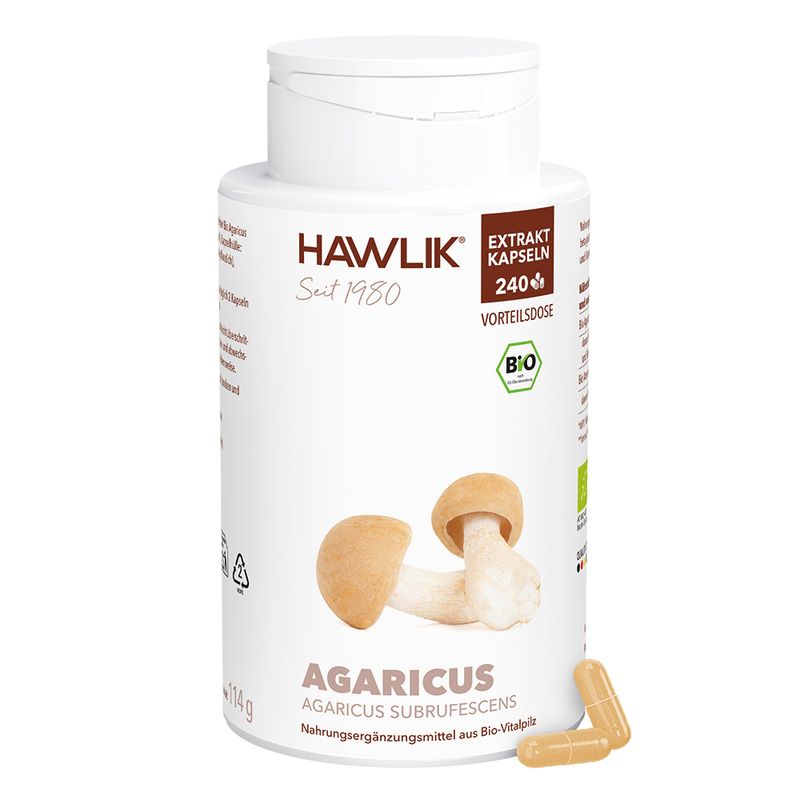 Agaricus 1