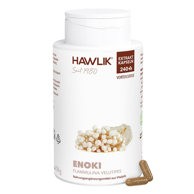 Enoki 1