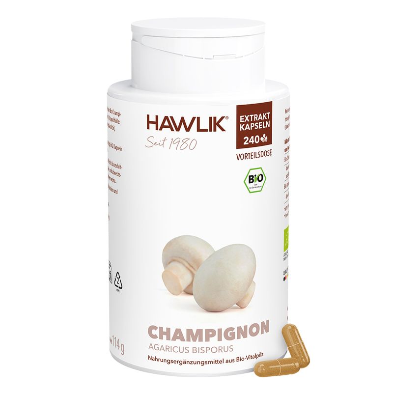 Champignon 1