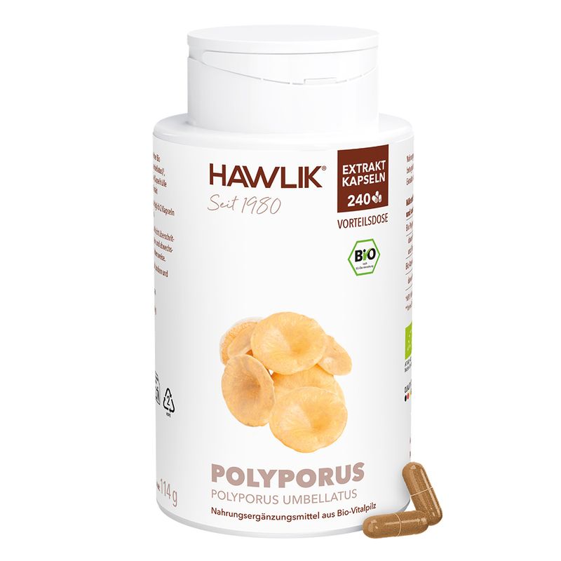 Polyporus 1