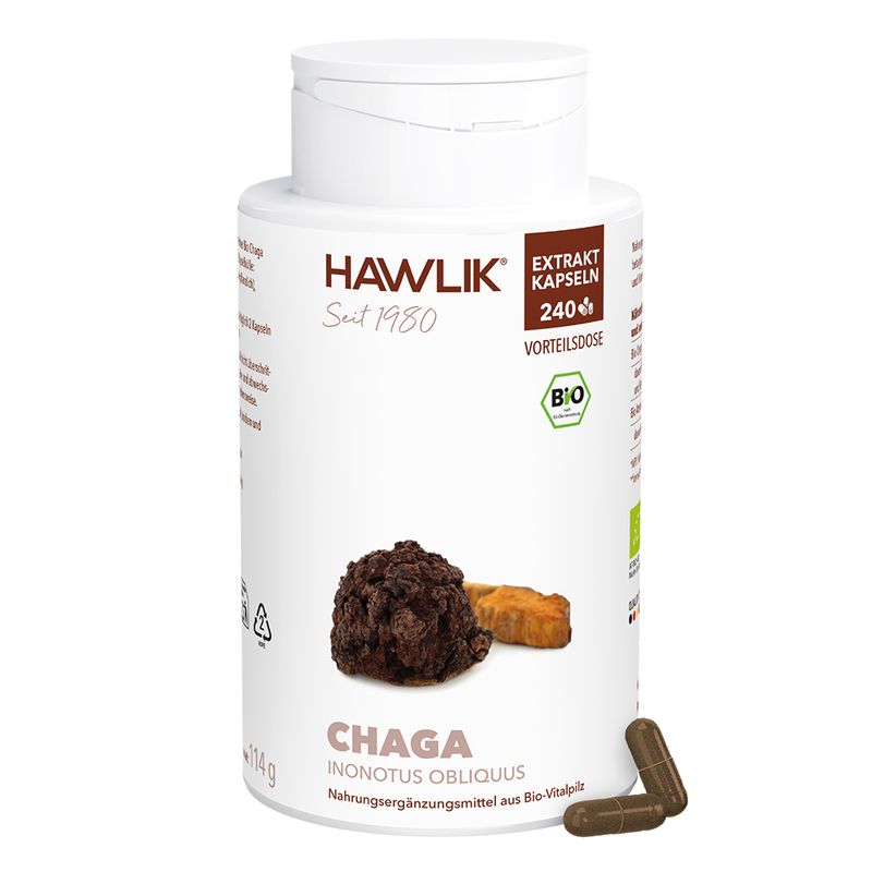 Chaga 1