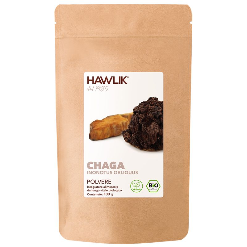 Image 1 Chaga polvere