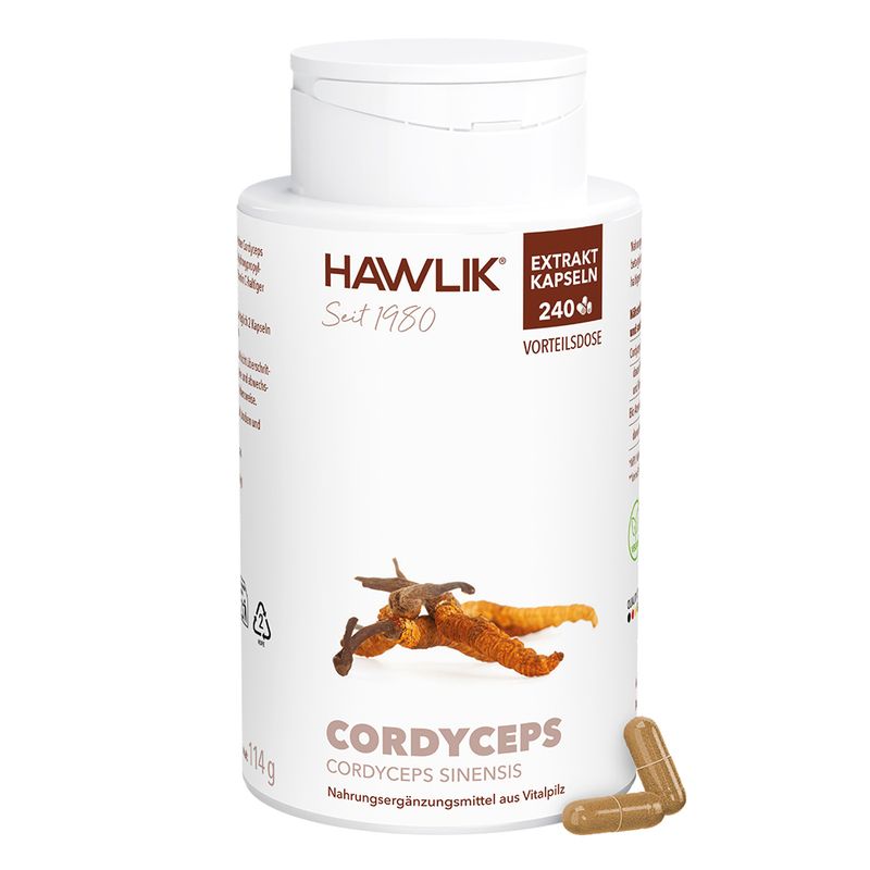Cordyceps 1