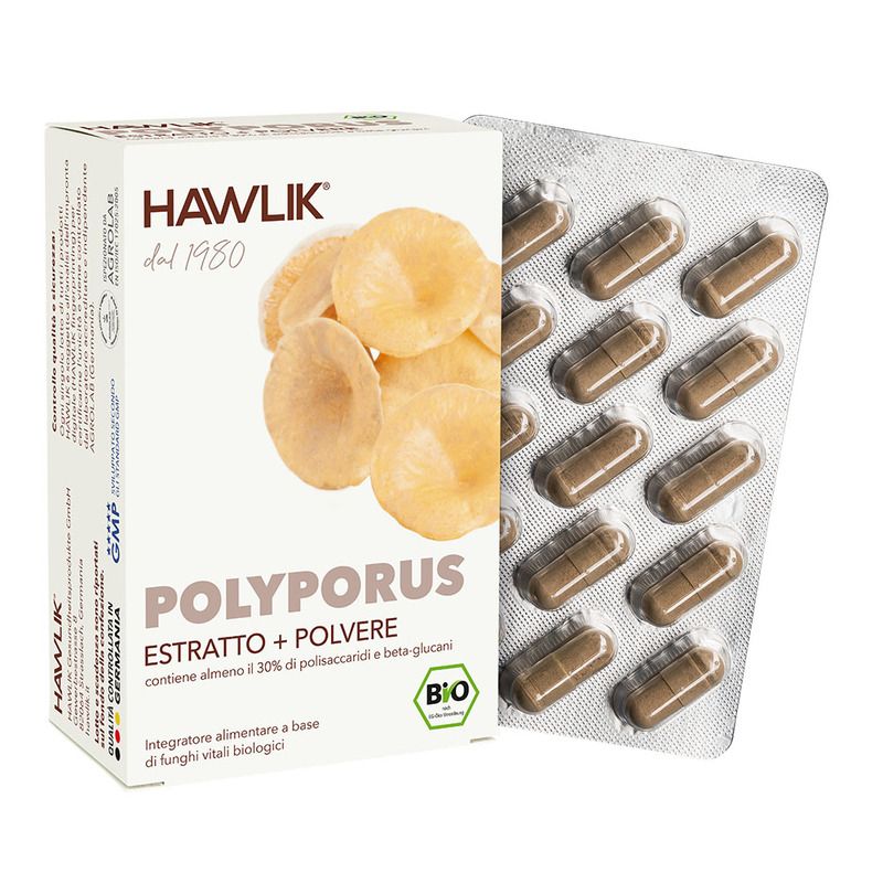 Polyporus E+P 60
